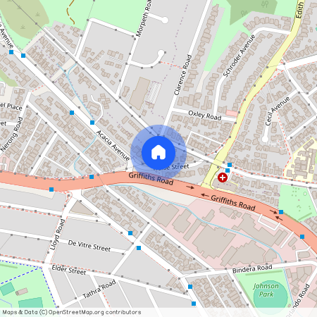 12 Traise Street Waratah NSW