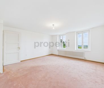 Magnifique maison familiale rénovée à Collex-Bossy Charme et vue ex... - Foto 2