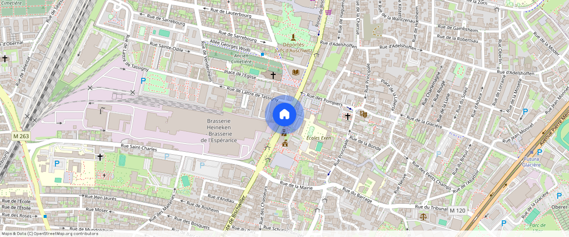 BAS-RHIN (67), - GRAND-EST, SCHILTIGHEIM (67300)