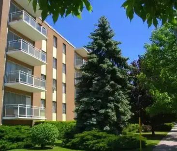GORGEOUS RARE STUDIO ON TREED RAVINE!! SQUARE ONE!! | 3089 Jaguar V... - Photo 1