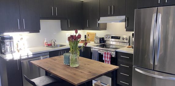 988 Rue Jacinthe (Saint-Jérôme) Bel Appartement D'une Chambre, - Photo 2