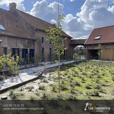 TE HUUR: Eerste bewoning, energiezuinige renovatiewoning met 3 slaapkamers in Gruitrode (Oudsbergen) - Photo 3