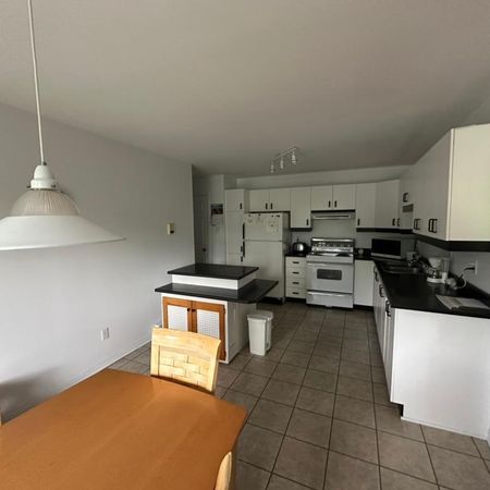 4 1/2 nord jacques cartier - Photo 3