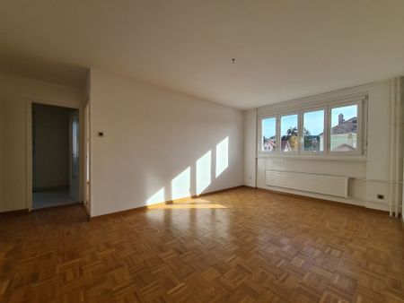 3 Zimmer, 65 m², 7. Stock - Foto 4
