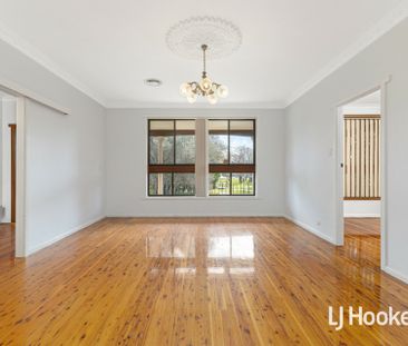 Great Location - Massive Block with fruit trees - Photo 2