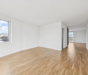 Neubauwohnung an traumhafter Lage direkt am Seeufer in Rapperswil-Jona - Photo 2
