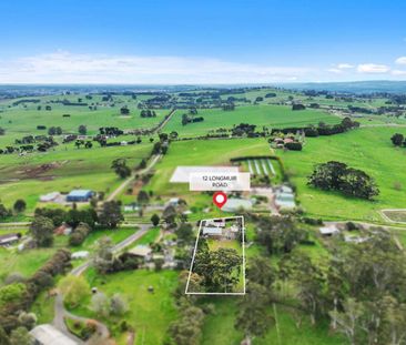 4434m2 Home with Large Shed - Photo 5