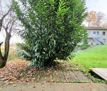 "Schöne Wohnung mit Gartensitzplatz + eigenem Eingang" - Photo 4