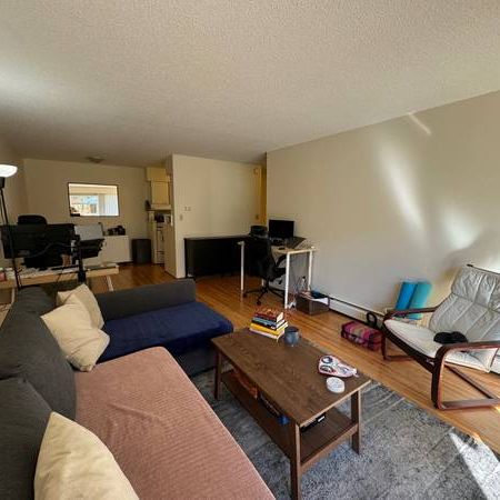 Kitsilano, Bright, Large 1 Bed, 2nd Flr, October 1st - Photo 3