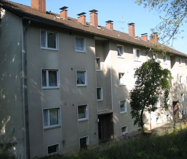 3-Zimmer-Wohnung in Kreuztal Buschhütten - Photo 4