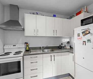 Modern 2-Bedroom Flat in the Heart of Aro Valley - Photo 6