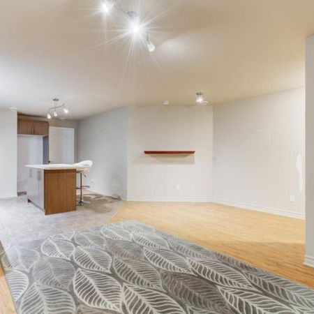 À Louer – Magnifique 3 ½ dans un basement – Secteur DIX30, Brossard (Secteur L) - Photo 4
