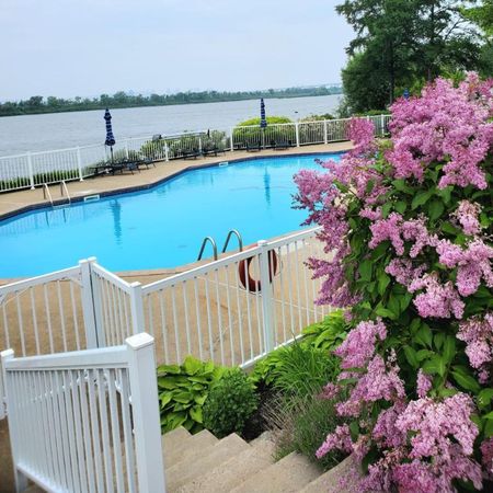4 1/2 - Brossard - 3 049 $/mois - Photo 3
