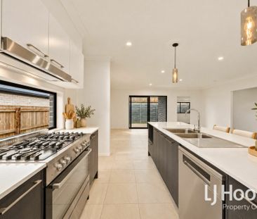 Modern Family Living - Separate Media Room - Private Alfresco - Photo 6