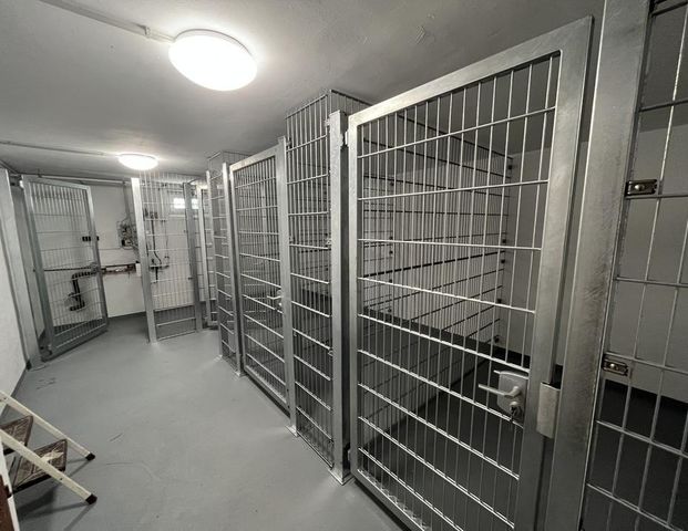 Helle 2-Zimmer Dachgeschosswohnung - 2022 saniert - Foto 1