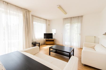 Fészek utca - Fotó 4