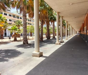 Güímar - Photo 3