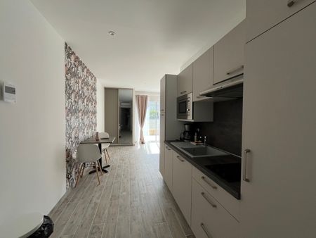 Location Appartement 1 pièce 30m² CARMAUX 81400 - Photo 3