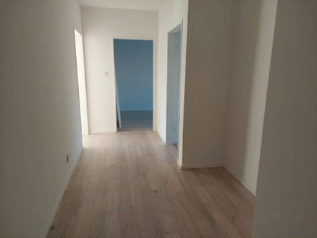 Frisch sanierte 2 Zimmer Wohnung in Kirchlengern - Foto 5