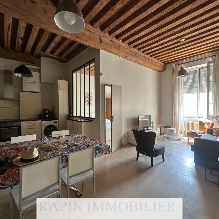 Lyon 5e/ prox Trion - Photo 1