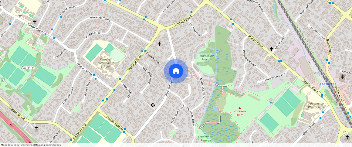 42 Park Avenue, Papatoetoe, Manukau City