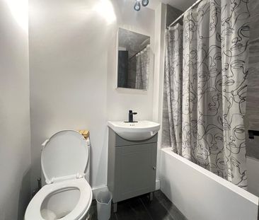 1 CH - 1 SDB - Montréal - $1,250 /mo - Photo 3