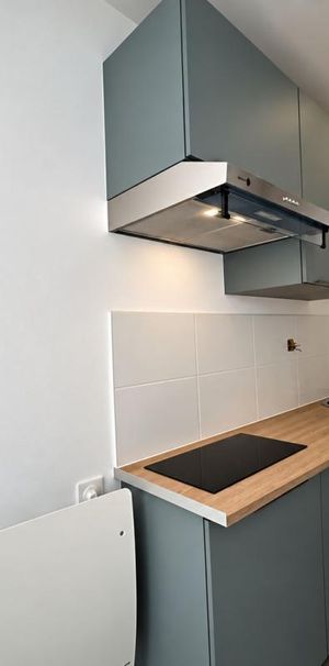 Location Appartement 1 pièce 17m² SCHIRMECK 67130 - Photo 1