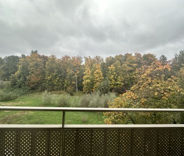 Bail renewal – 2 rooms, Marly at 16.01.202 - Photo 5