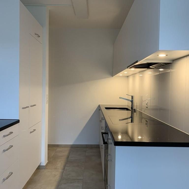 Sanierte 3.5-Zimmerwohnung mit Aussicht über Pratteln - Photo 1