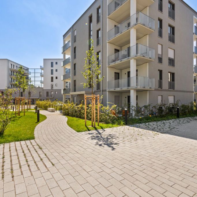 Traumwohnung sucht Mieter! 2-Zimmer-Wohnung mit zwei Terrassen im Augusta & Luca - Foto 1