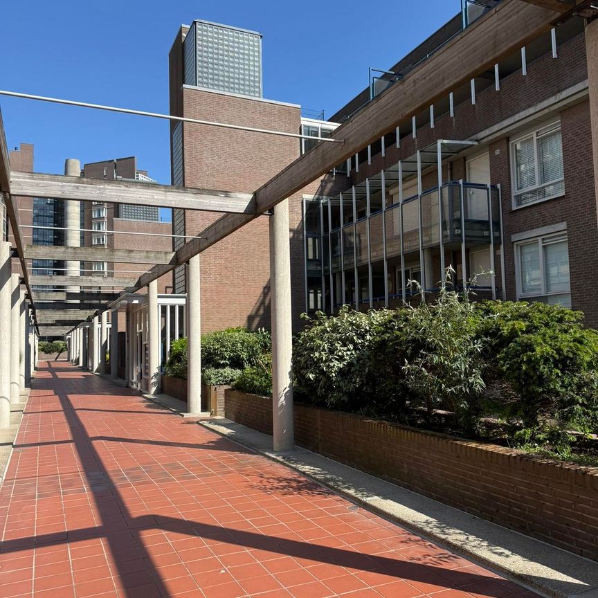 Zwolsestraat 360, Belgisch Park, 2587WD, Den Haag - Foto 1