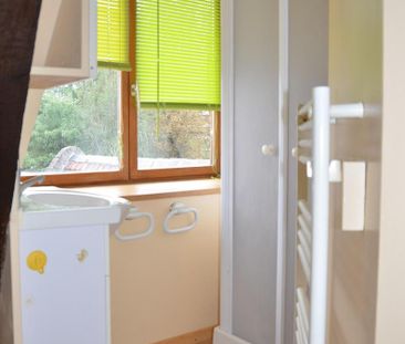 Location Appartement 1 pièce 12m² ST SAULVE 59880 - Photo 3