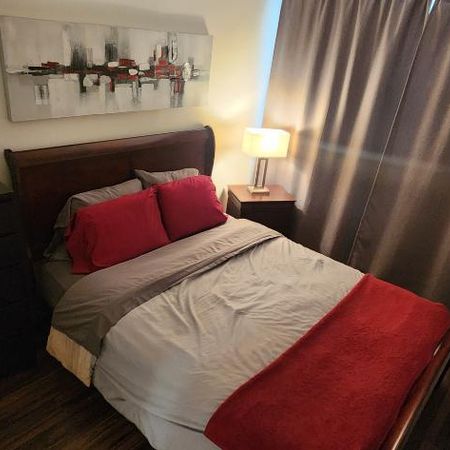 ROSEMONT - Prêt MAINTENANT - Neuf 3 1/2 – BACHELOR - TOUT TOUT meublé - Photo 3
