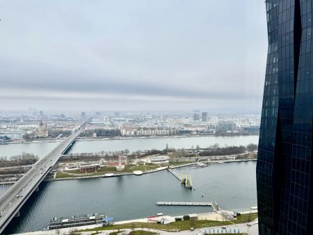 35. Etage: DC2 Tower: SKY RESIDENCES - U1 Donauinsel direkt am Wasser - Photo 4
