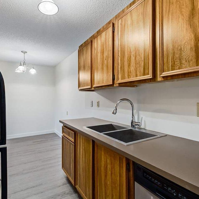 Renovated Suite - 3 Bedroom - Photo 1