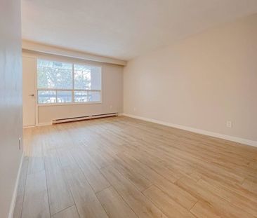199 Charles St, Unit 6, Midland, ON - Photo 4