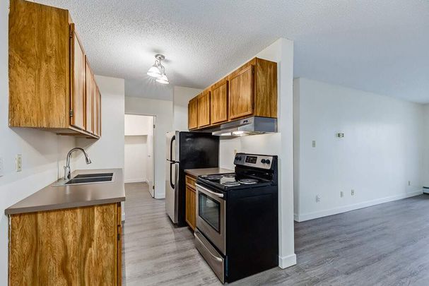 Renovated Suite - 3 Bedroom - Photo 1