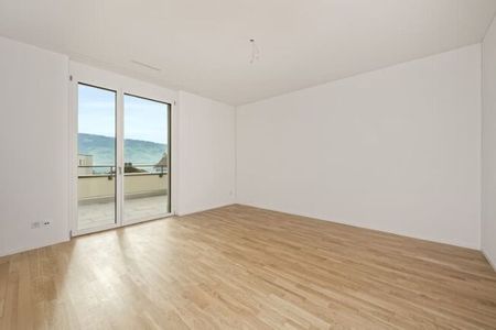 Newly built apartment in a fantastic location directly on the lake in Rapperswil-Jona - Photo 4