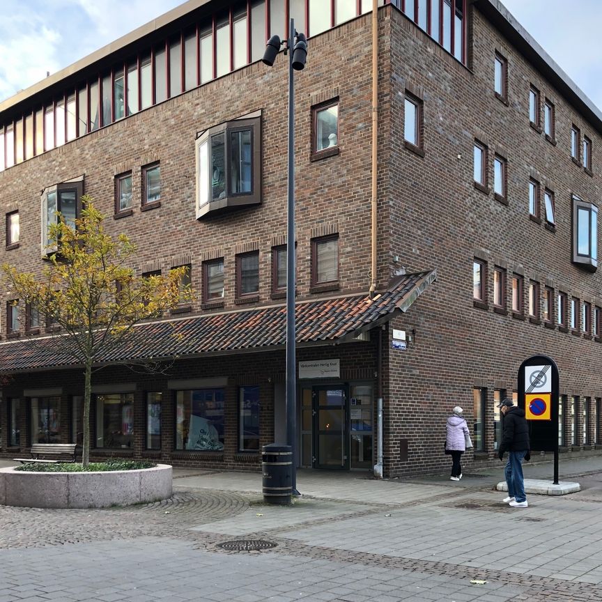 Bryggaregatan, Halmstad - Photo 1