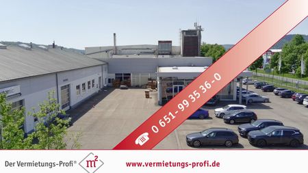 Trier-Euren: Moderne, barrierefreie Halle mit 310 m² – vielseitig nutzbar, große Fensterfront, Glasbüro & neuer moderner Gasheizung - Photo 3