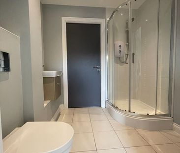 1 Bed Flat, Cuthbert Bank Road, S6 - Photo 4