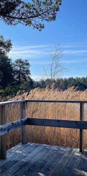 Jasminvägen, Mellösa - Foto 1