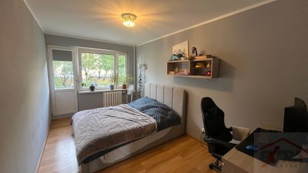 Ładne Mieszkanie 3pok., balkon os. Kaliny (437696) - Zdjęcie 3