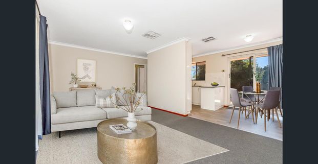 Refreshed 3 x 1 Home - Available Now - Photo 1