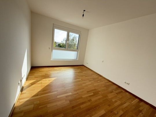 Zentrale, ruhige Mietwohnung für Single- u. Pärchen – mit Weitblick - Foto 1