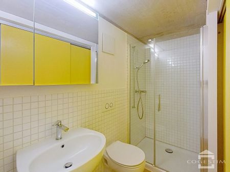 Appartement traversant avec terrasse, centre ville! - Photo 5