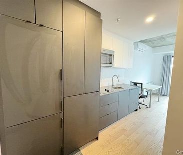 Appartement à louer - Montréal (Ville-Marie) (Centre) Appartement à... - Photo 5