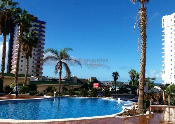 Se alquila en Playa Paraiso un estudio!