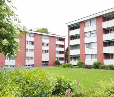 "Im beliebten "Schwäbis" Quartier" - Photo 2