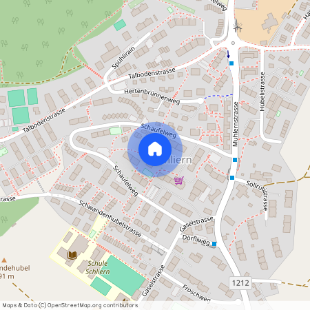 Schaufelweg 95, 3098 Schliern b. Köniz